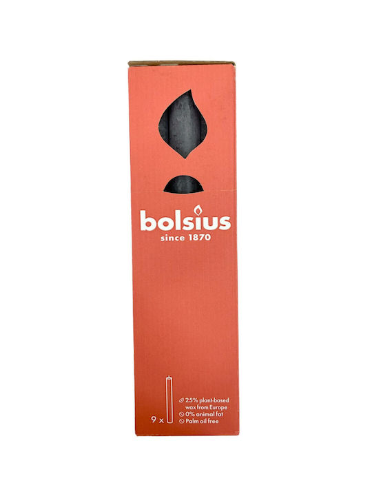 Bolsius Lumânare Aromată Conic Violet 910gr 9buc