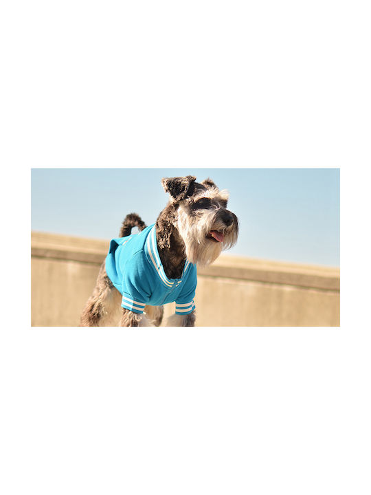 Dashi T-shirt Dog in Blue color 47.50x71x52cm.