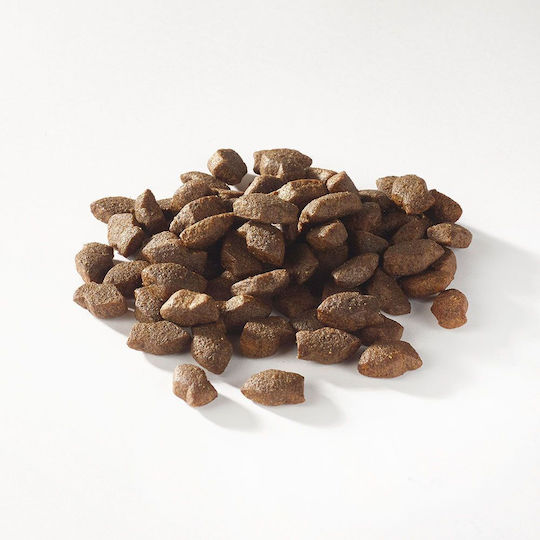Fish4Dogs Support+ Salmon Morsels Gustare pentru câini sub formă de pastile