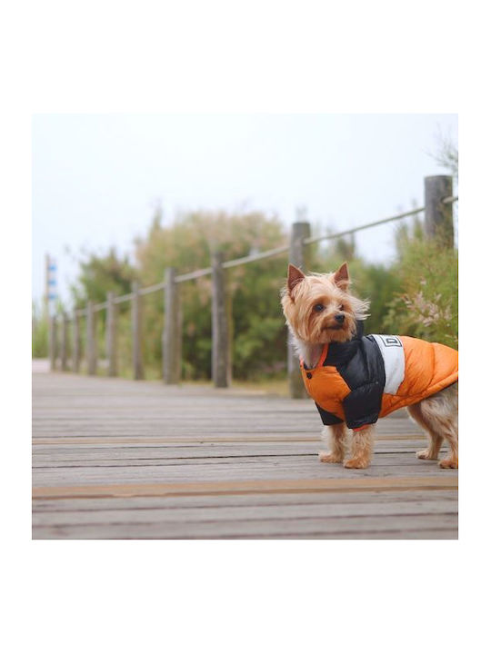 Dashi Hundemantel Wasserdicht Orange Groß mit Rückenlänge 42 cm.