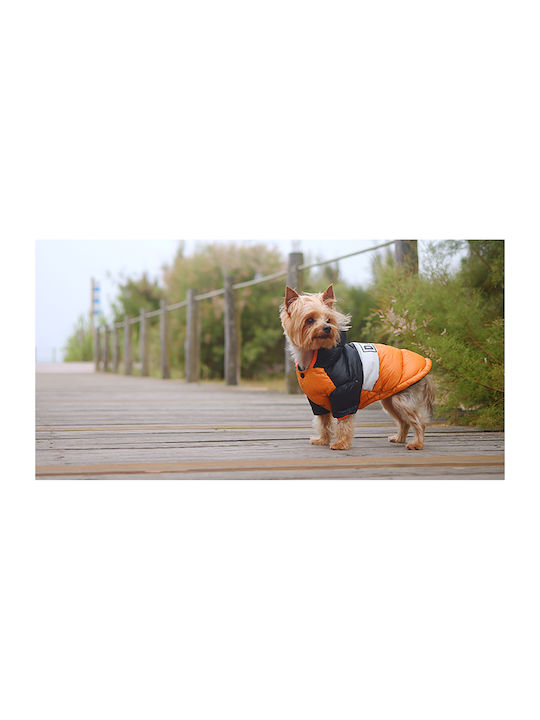 Dashi Кучешки палта Водоустойчиво Orange XLarge с дължина на гръбчето 44 см.