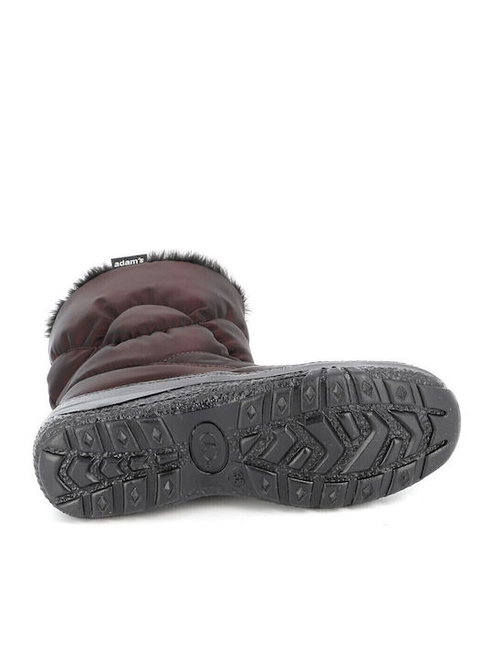Adam's Shoes