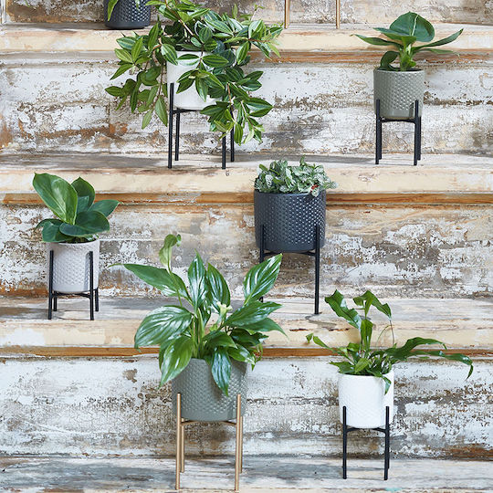 Edelman Plant Pot Ceramic White