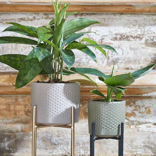 Edelman Planter Ceramic Green 10x10x9cm.