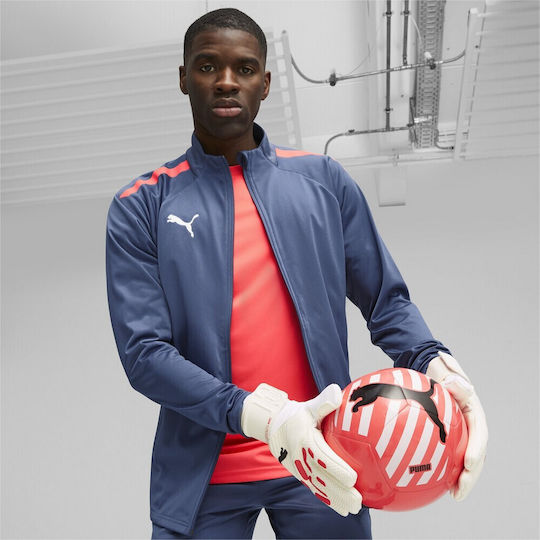 PUMA Future Match NC Adults Goalkeeper Gloves White