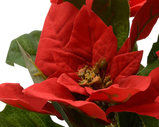 Kaemingk Christmas Decorative Alexandrian 27cm