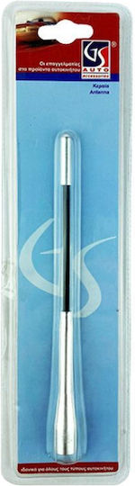 Auto Gs Car Antenna Roof for TV in Silver Color