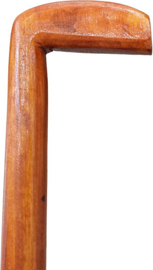 Eikona Brown Walking Stick