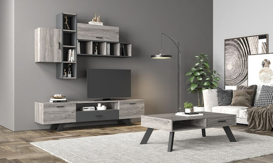Wohnzimmer TV-Einheit No37 Ashtray L210xB30xH200cm
