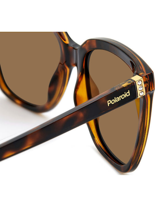 Polaroid Unisex Γυαλιά Ηλίου με Καφέ Ταρταρούγα Κοκκάλινο Σκελετό και Καφέ Φακό PLD 4155SX 086