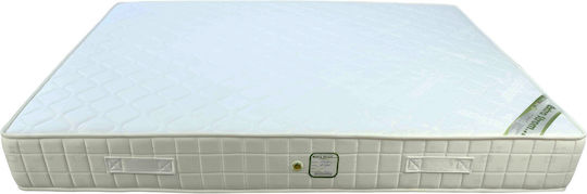 Extra Strom Classic 3a Einzel Orthopädisch Matratze Schaum 80x190x15cm