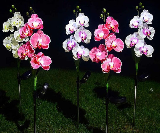 Set 2 Aufgespießte Solarleuchten Blumen IP65