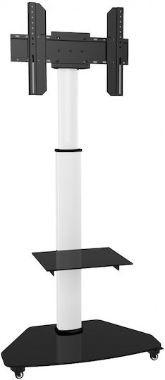 Techly ICA-TR3WH Βάση Τηλεόρασης Δαπέδου έως 70"