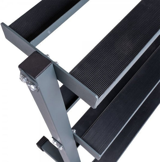inSPORTline Weight Stand for Dumbbells