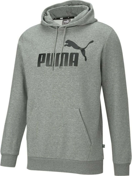 Essential Sweatshirt with Hood Gray