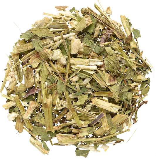 Μεσόγειος Εχινάκεια 60gr