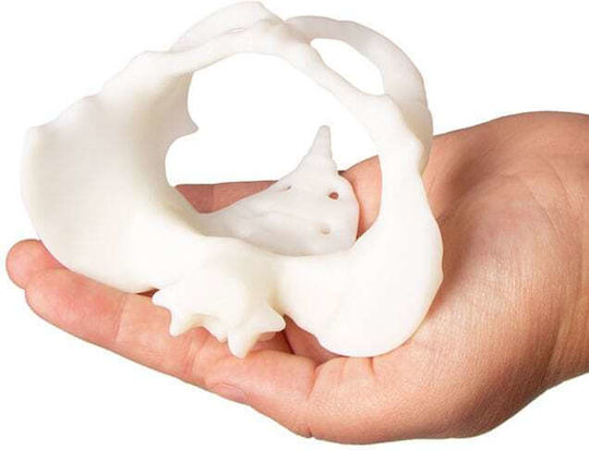 Erler Zimmer Interactive Training & CPR Model