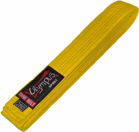 Olympus Sport Martial Arts Belt Blue