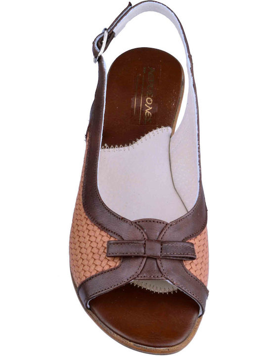 Apostolidis Shoes 3621 Brown