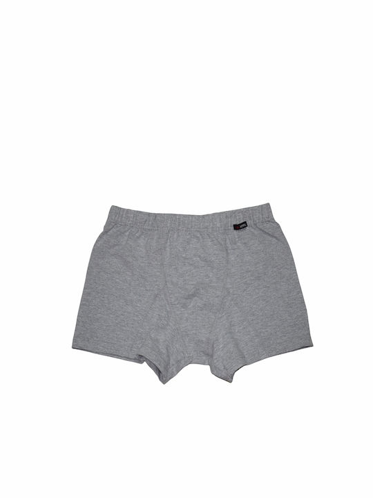 Apple Boxer Men's Boxer Gray