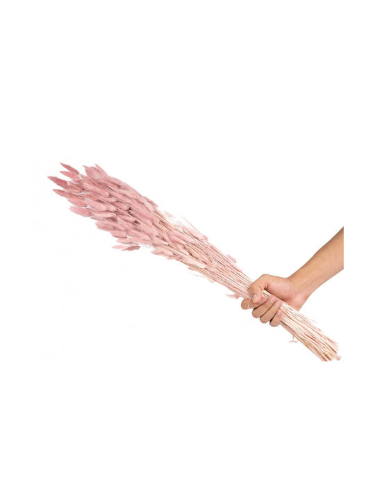 Αποξηραμένο Φυτό Bunny Tails Ροζ 50cm με LED Selected by Pragmatic