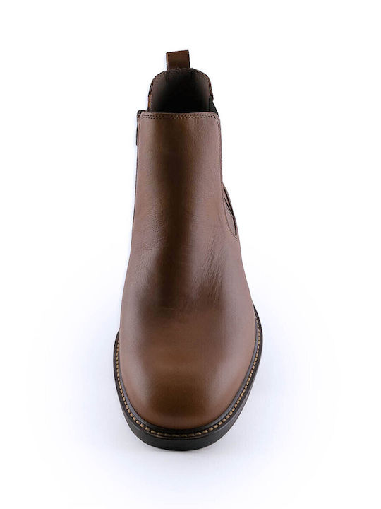 Damiani