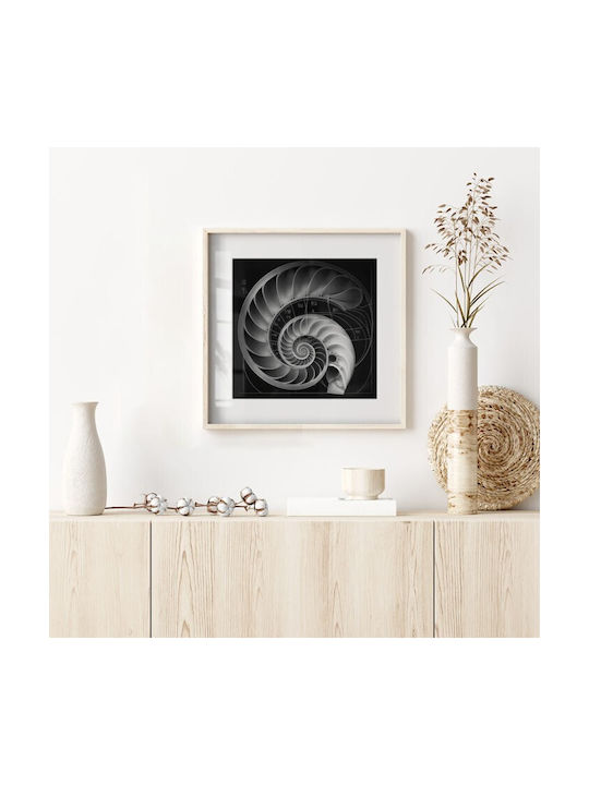 Walls Αφίσα Κοχύλι Ναυτίλος 20x20cm