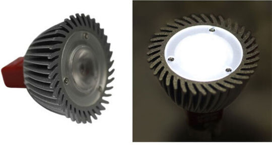 Adeleq LED Bulb 3W for Socket GU5.3 and Shape MR16 Cool White 170lm Dimmable