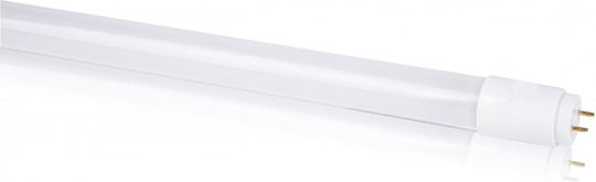 Evivak Λάμπα LED 9W Τύπου Φθορίου 60εκ. για Ντουί G13 και Σχήμα T8 Ψυχρό Λευκό 650lm