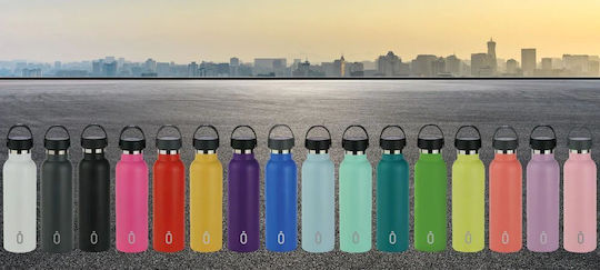 Runbott Stainless Steel Thermos Bottle BPA Free 600ml Purple