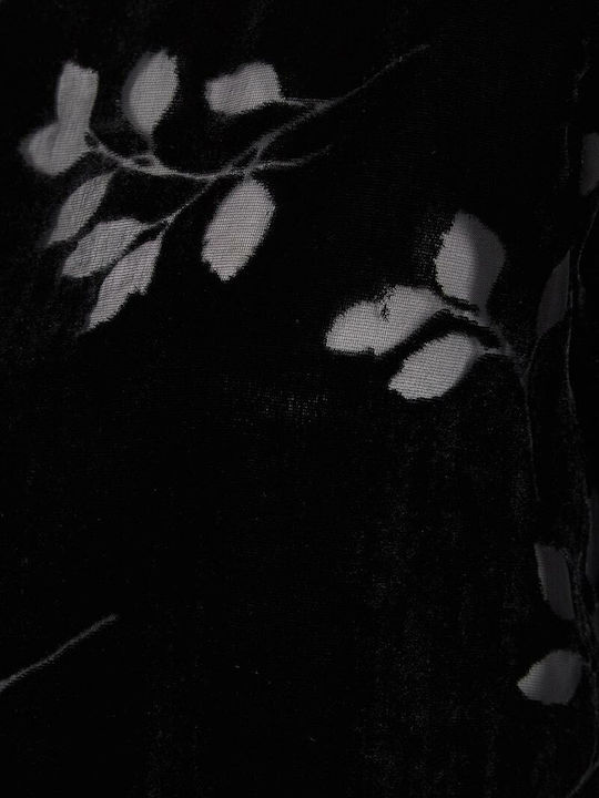 Women's Blouse Velvet Short Sleeve Black