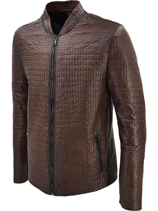 Dermatina 100 Leather Jacket Brown