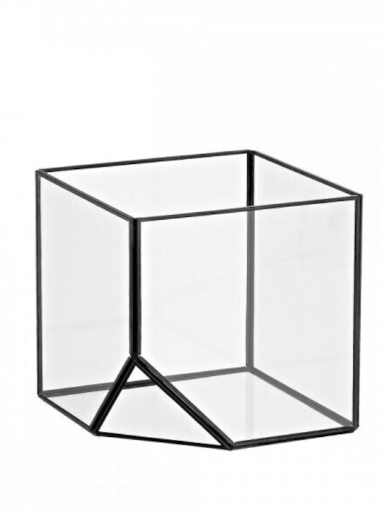Palma Emporio Ghiveci Sticlă Transparent