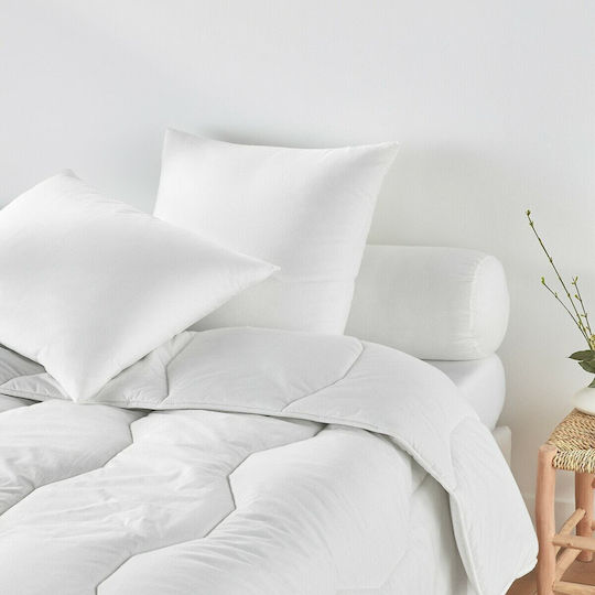 La Redoute Interieurs Polyester 50x70cm