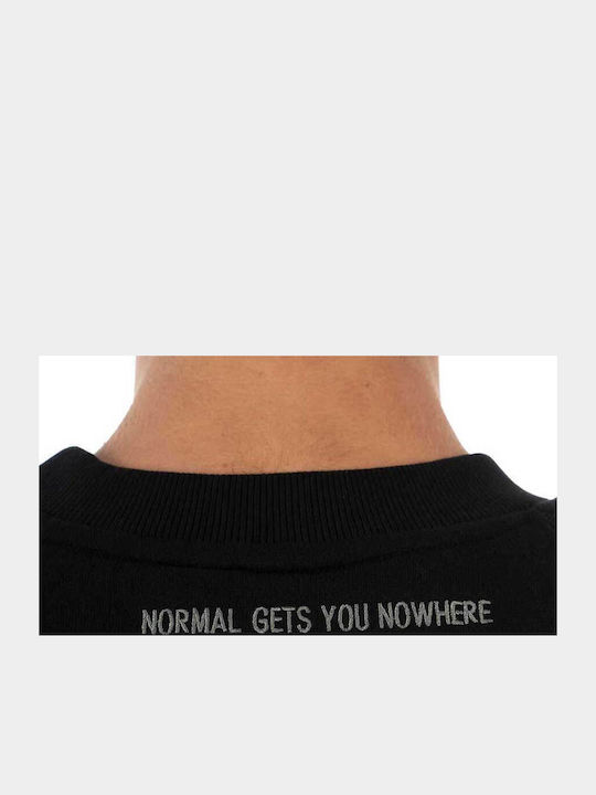 Bee. Unusual. Black