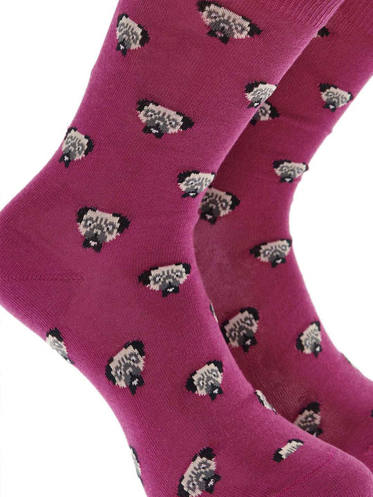 Walk Pugs Κάλτσες με Σχέδια Μωβ