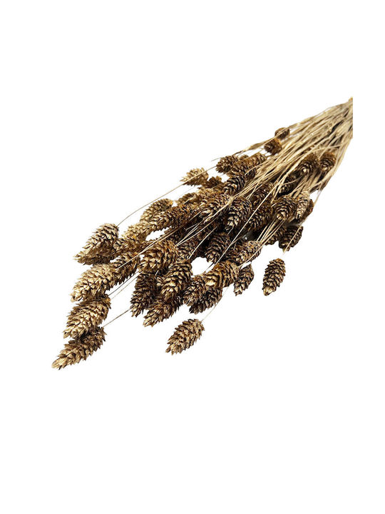 Dried Plant 55cm 1pcs