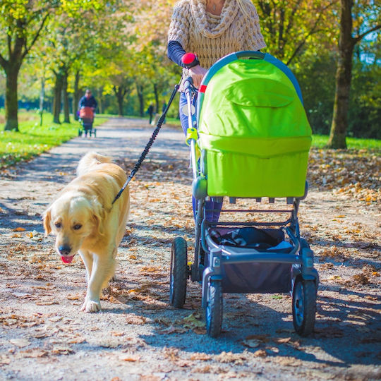 Lishinu Foldable Dog Leash/Lead Strap in Green color up to 30kg