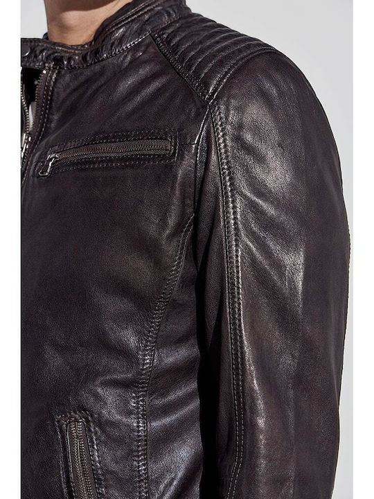Lederjacke Jacke Brown