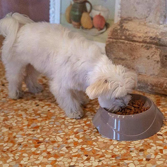 Ferplast Magnus Plastic Bowl Food & Water Slow Feeder for Dog with Base 500ml 21.7cm (Various Colors)