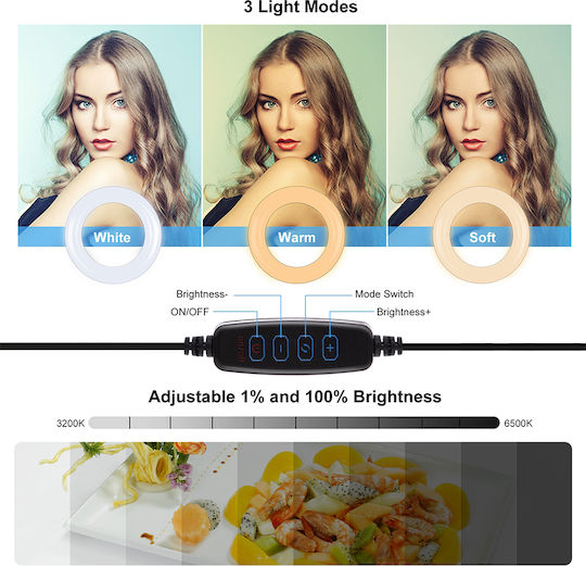 Puluz Light Led Ring Light 20cm με Βάση για Κινητό
