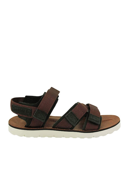 Pierce Ανδρικά Σανδάλια σε Καφέ Χρώμα
