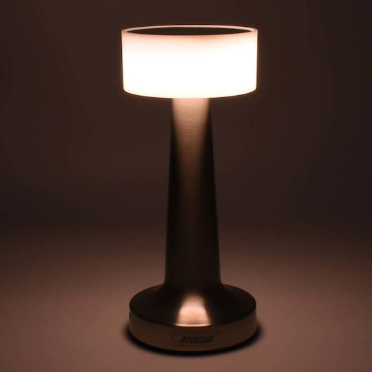 Andowl Decorative Lamp Silver
