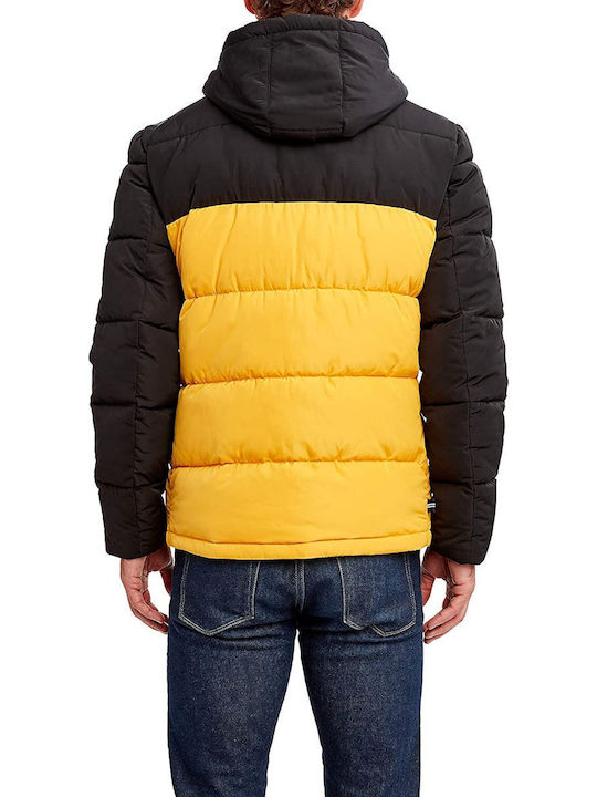 Winter Jacke Puffer Old gold