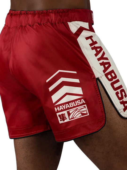 Hayabusa CHIKARA-4