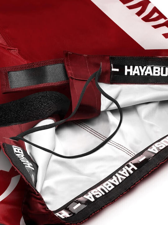 Hayabusa CHIKARA-4