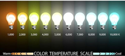 Aca Becuri LED pentru Soclu E27 și Formă G95 Alb cald 980lm 1buc