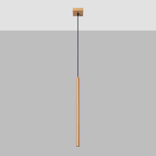 Sollux Pastelo Pendant Light Gold with Socket G9 8x8x120cm