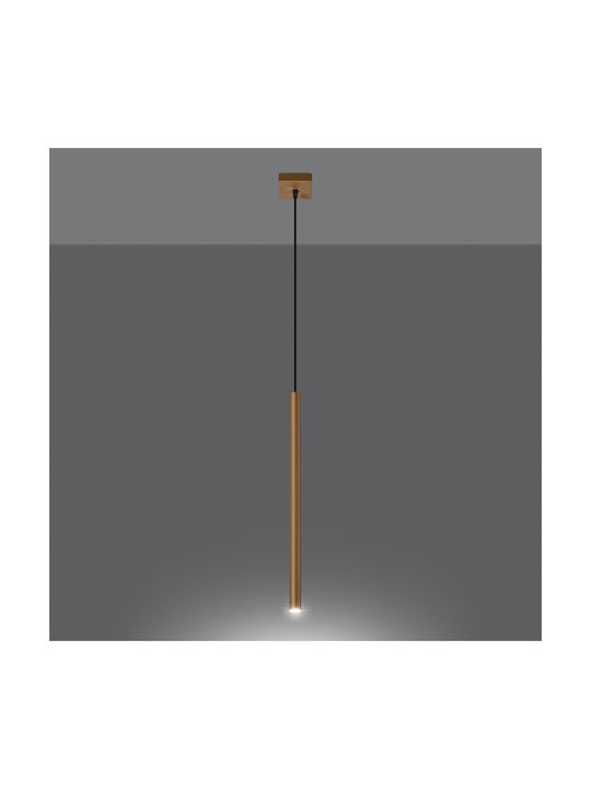 Sollux Pastelo Pendant Light Gold with Socket G9 8x8x120cm