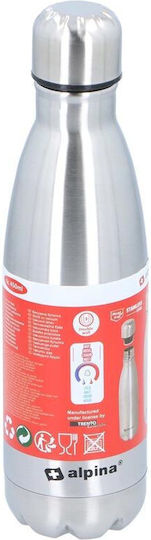 Alpina Appliances Flasche Thermosflasche Rostfreier Stahl 500ml Silber